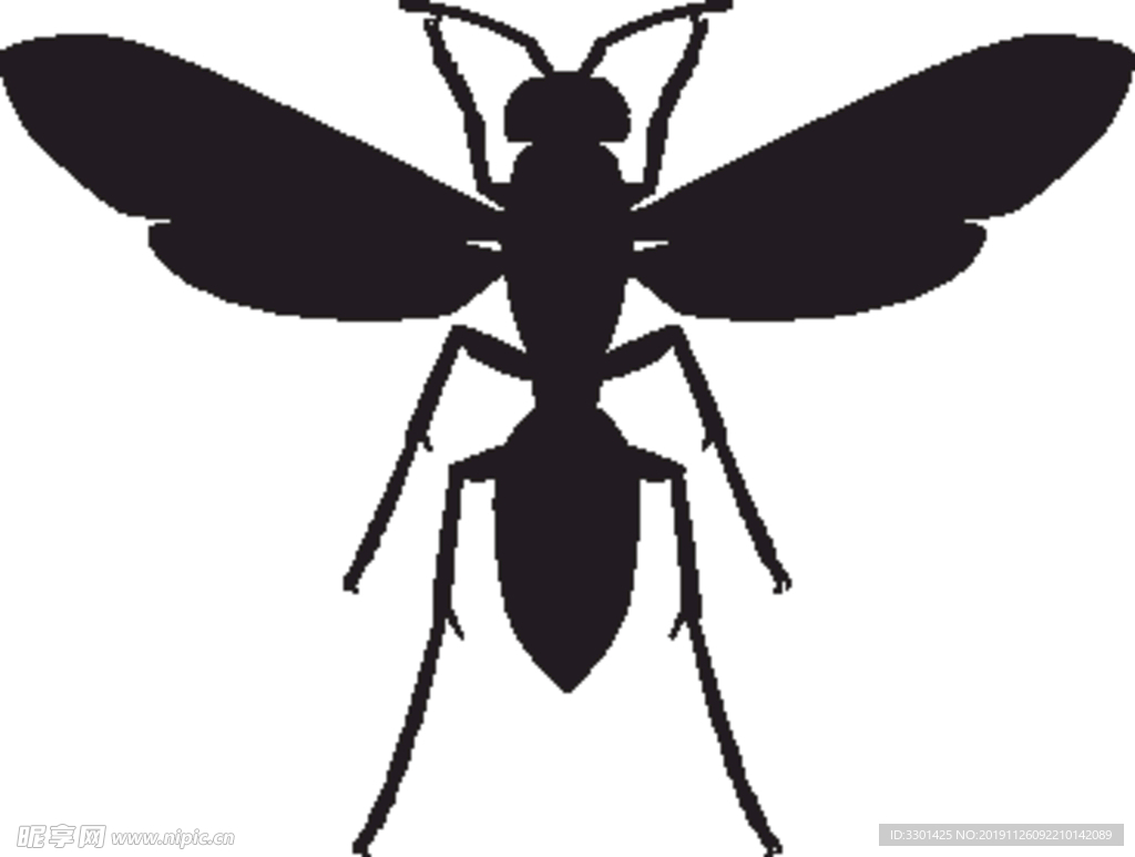 昆虫系列 黄蜂剪影