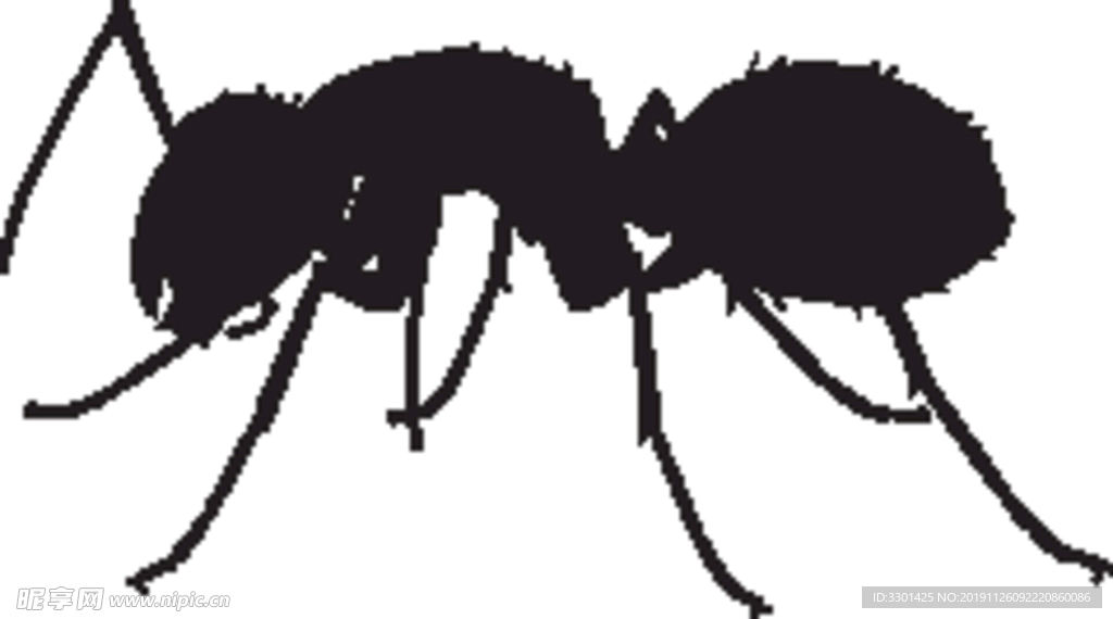 黑蚂蚁剪影