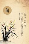 中国风兰花素材