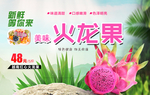 火龙果