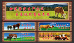 畜牧养殖