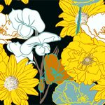 花瓣
