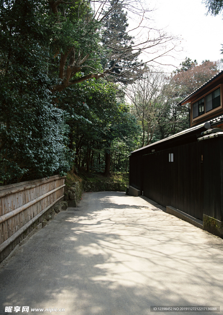 柴园小路