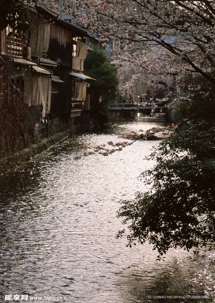 屋后的溪流