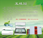 白茶