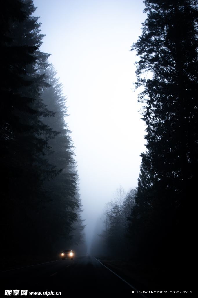 山林
