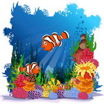 海洋生物