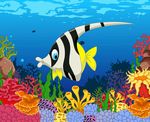 海洋生物
