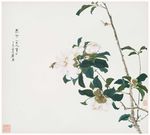 花朵