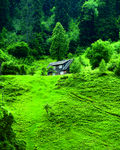 风景