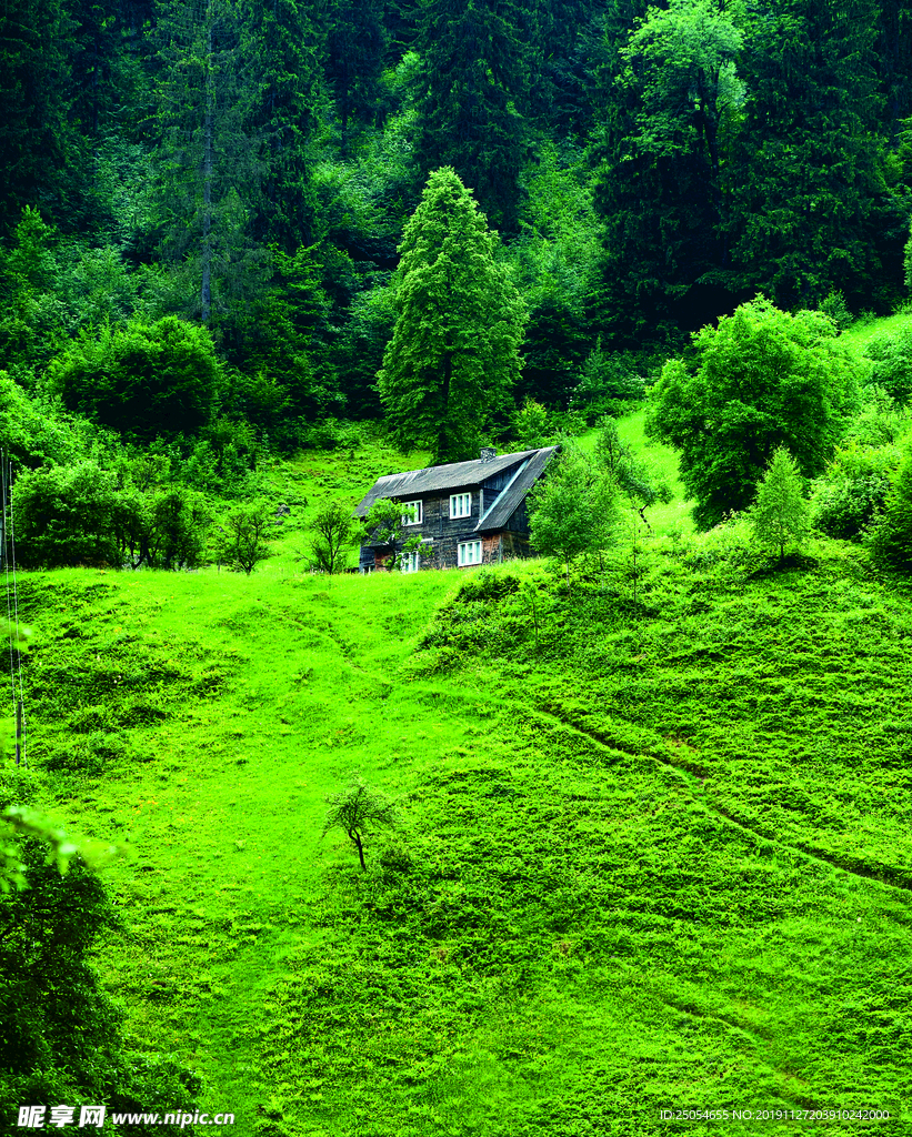 风景