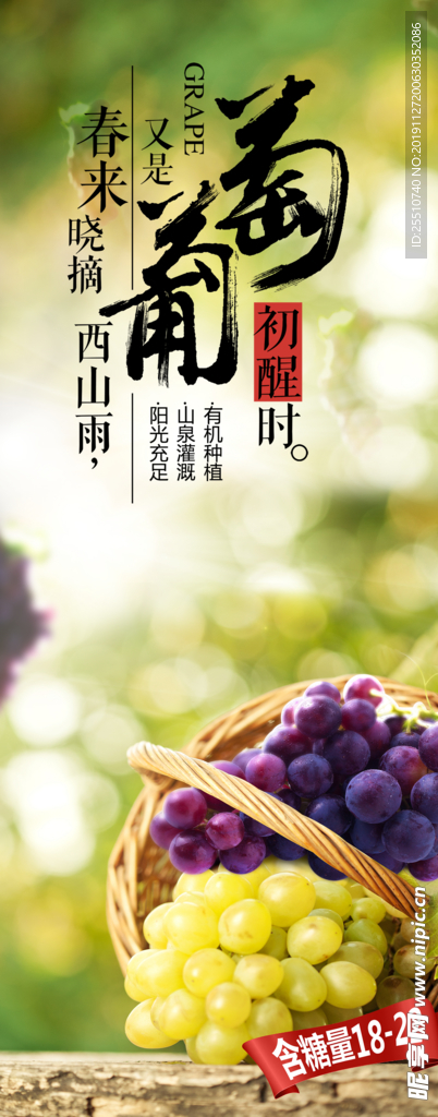 葡萄