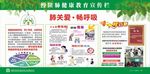 慢阻肺宣传栏