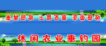 休闲垂钓