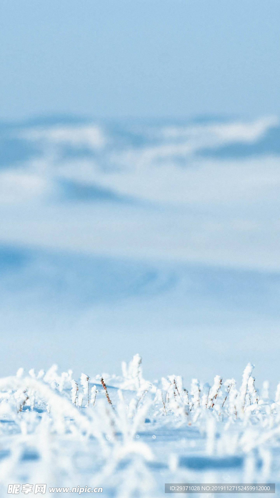 雪
