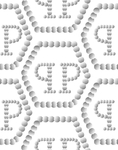 字母