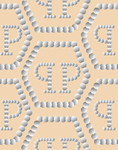 字母