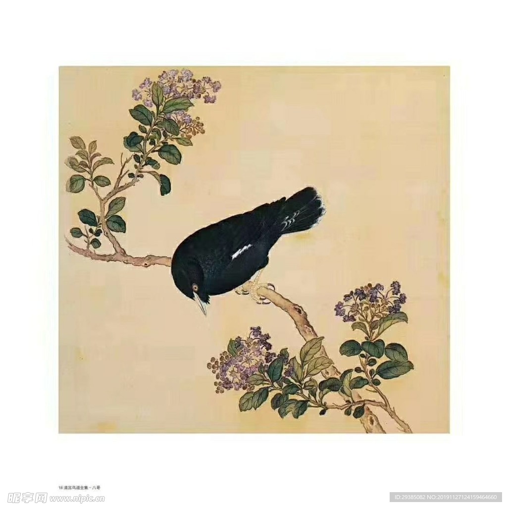 禽鸟
