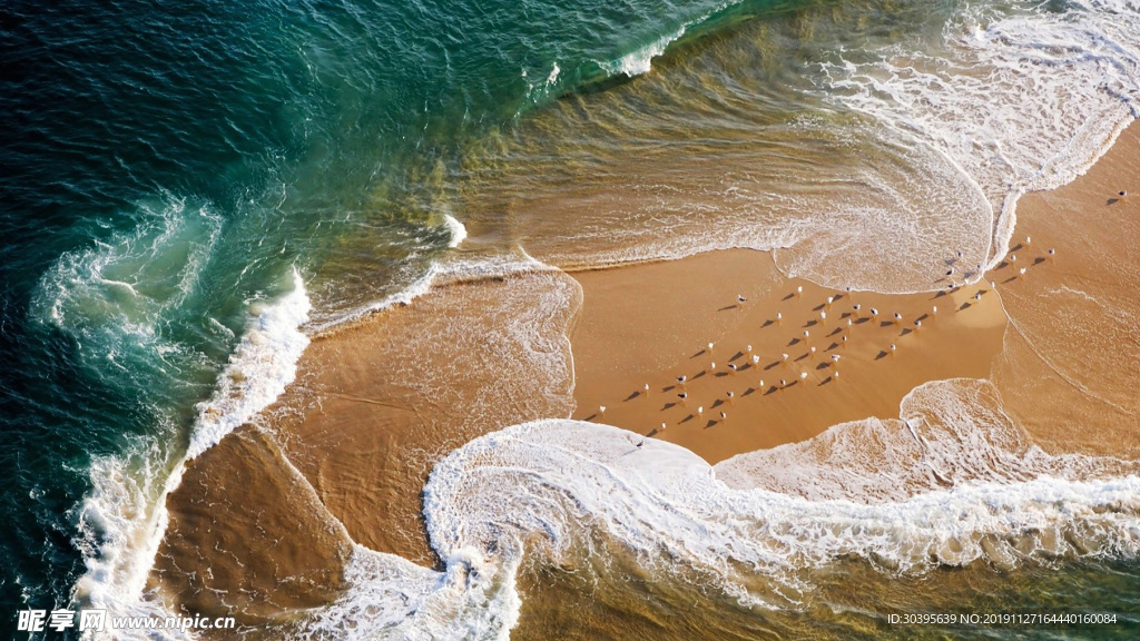大海