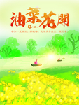 油菜花开