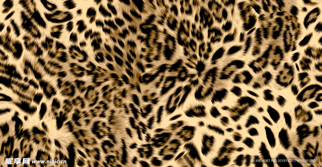豹纹