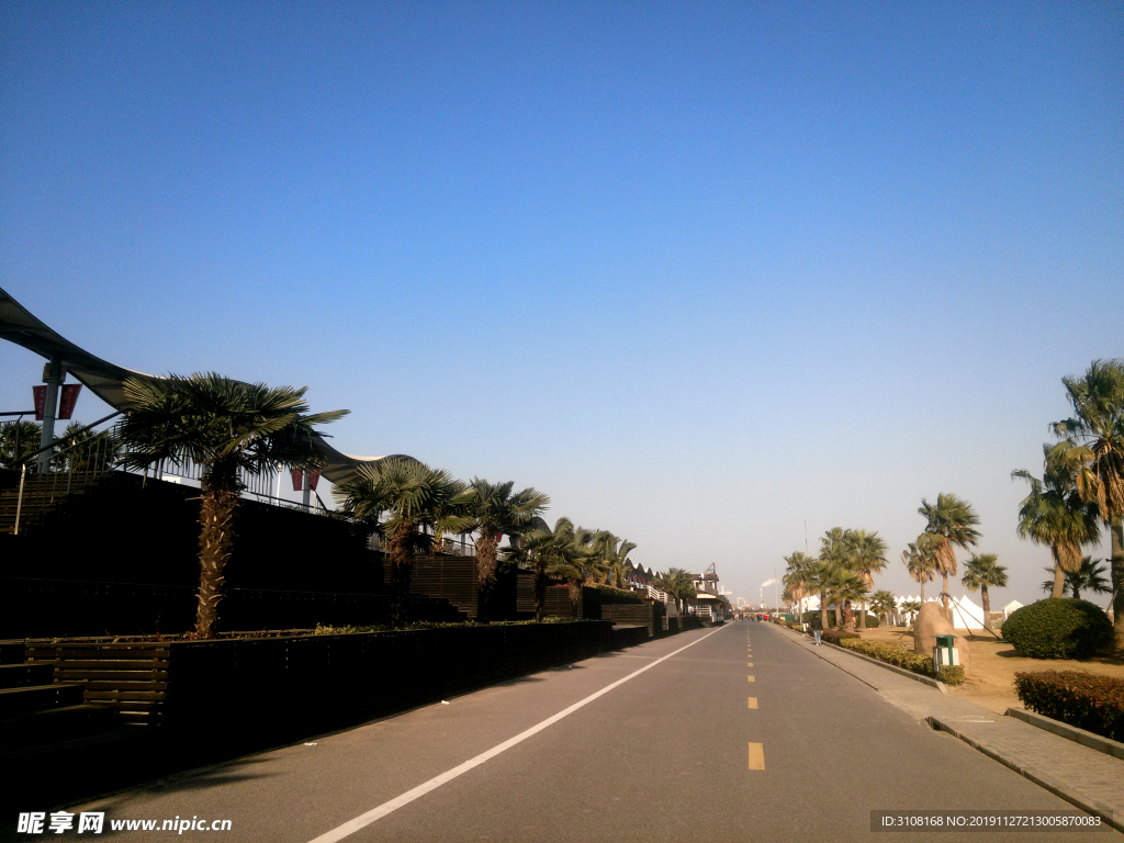 风景 树 蓝天 公路