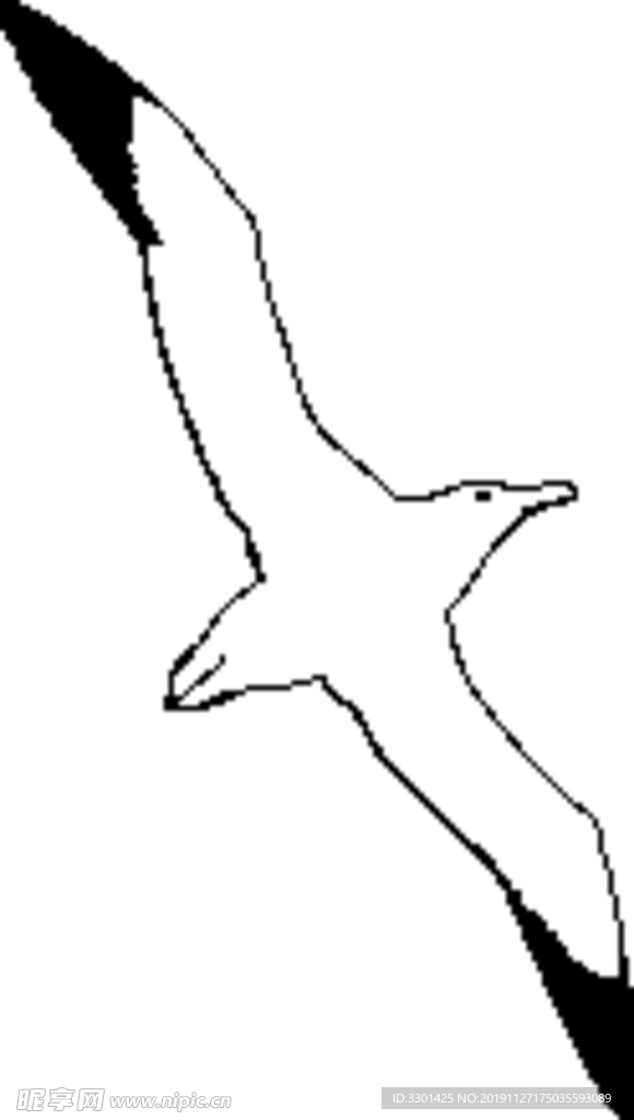 野生动物系列 海鸥剪影