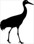 野生动物系列 鹤剪影