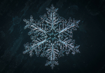 雪花