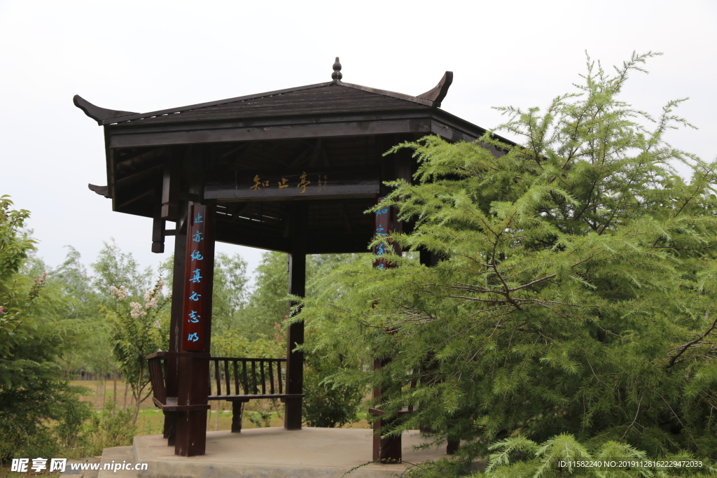 连云港师专 师专照片 连云港师