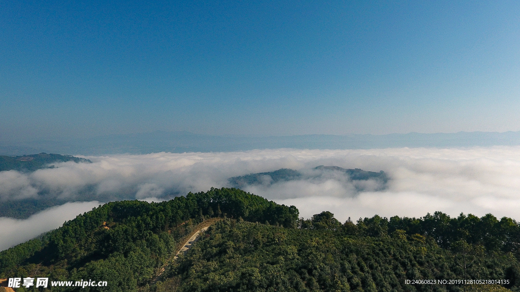 景迈山