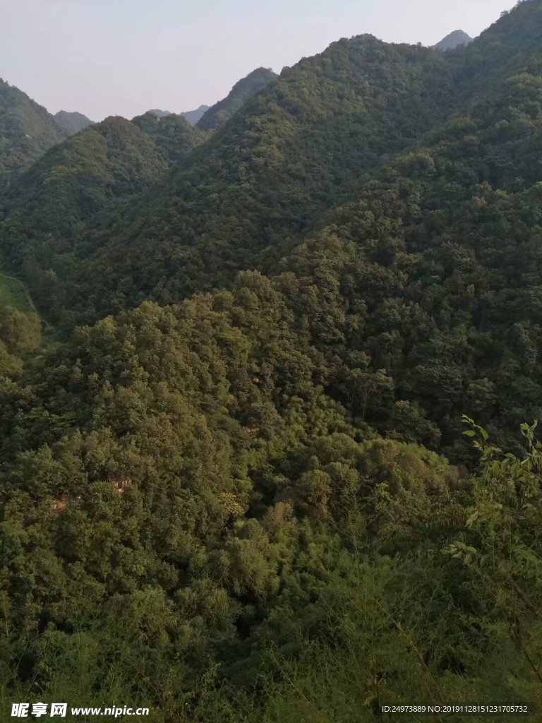 山