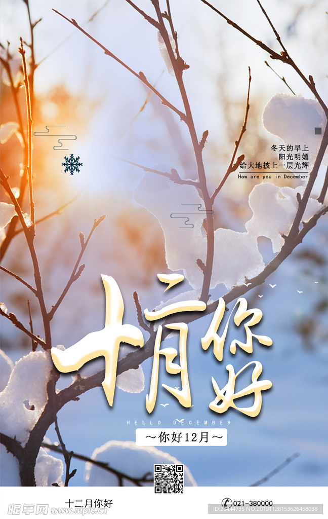 是鱼儿