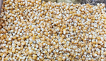 玉米 生鲜干货  豆子