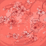 花卉