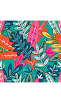 七彩植物插画