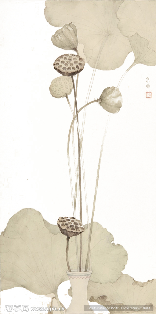 荷花