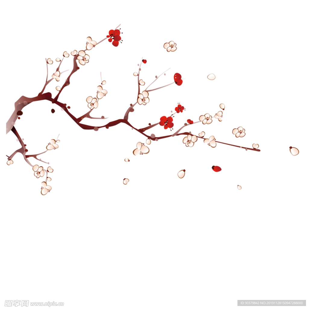 梅花