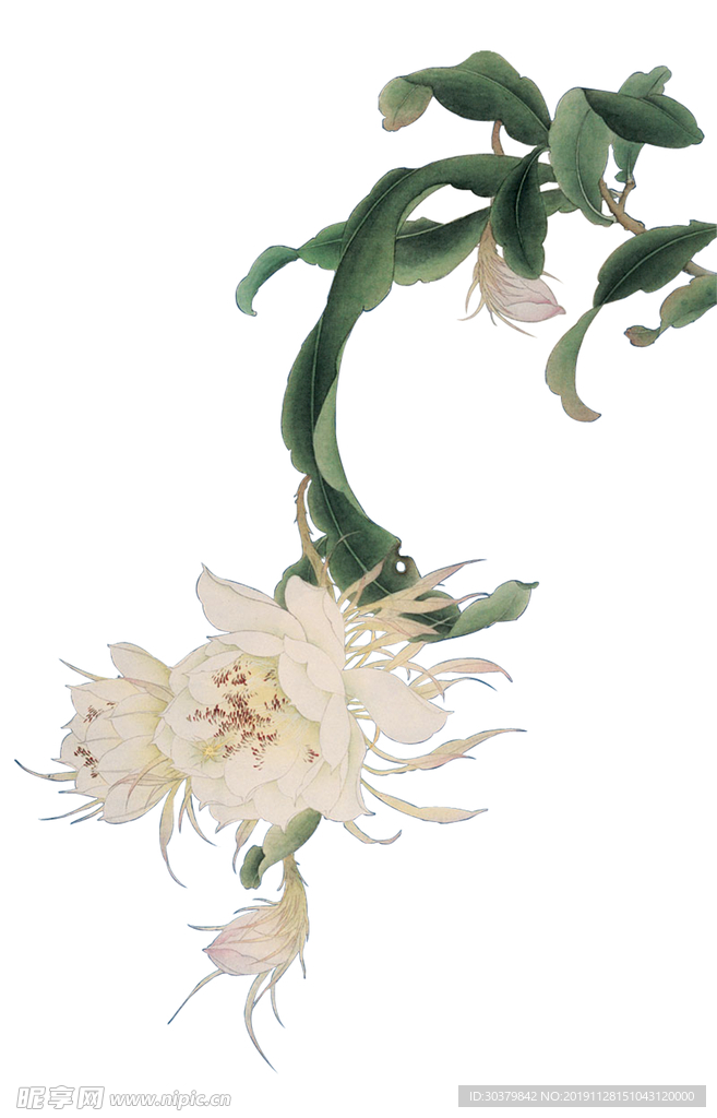 花