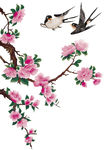 花鸟