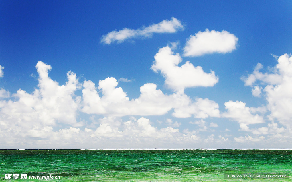 大海