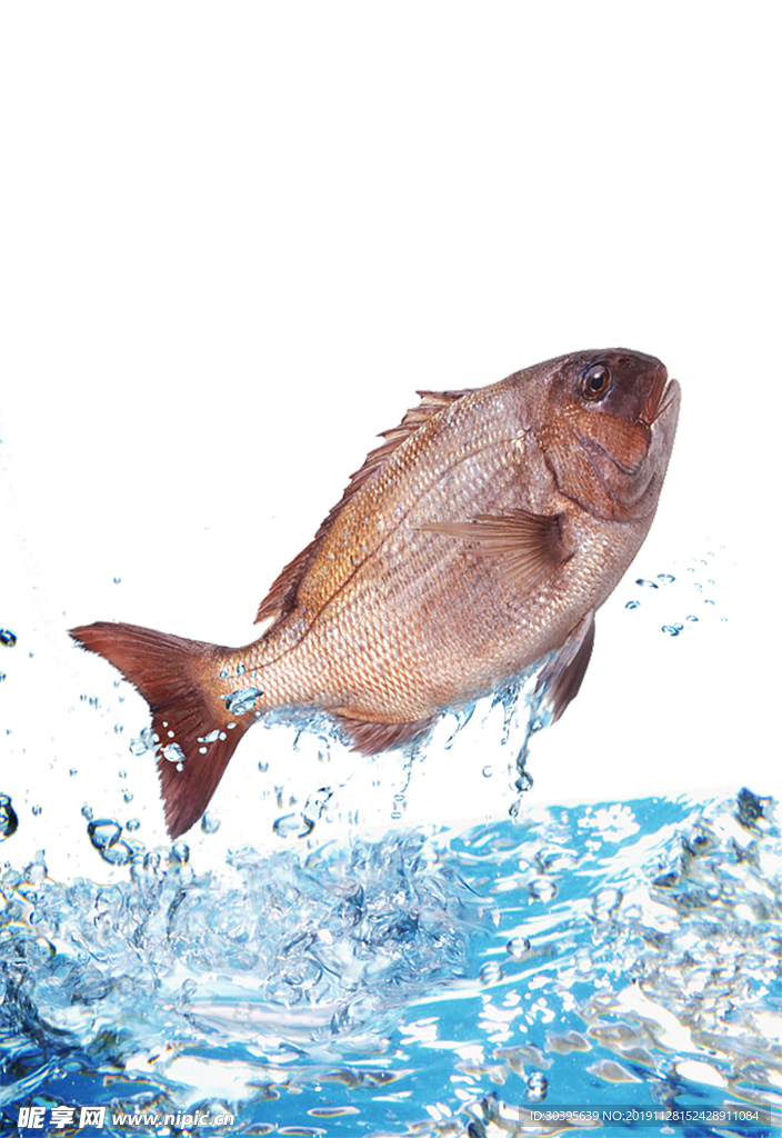 水花