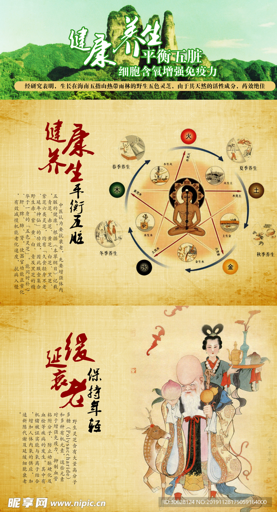五指山 五色灵芝 中国风 灵芝