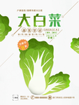 大白菜