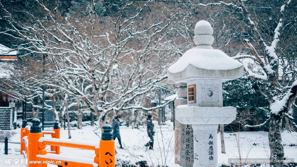 雪地