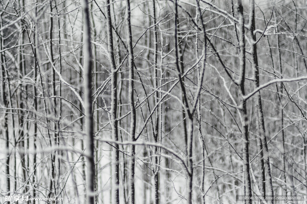 雪地