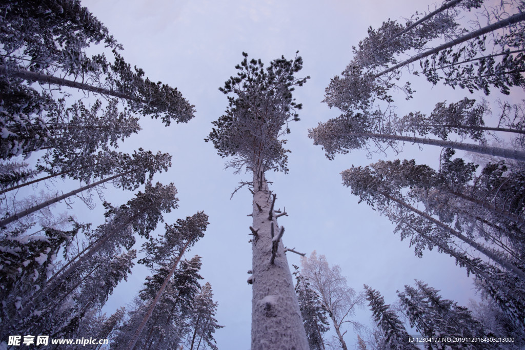 雪地