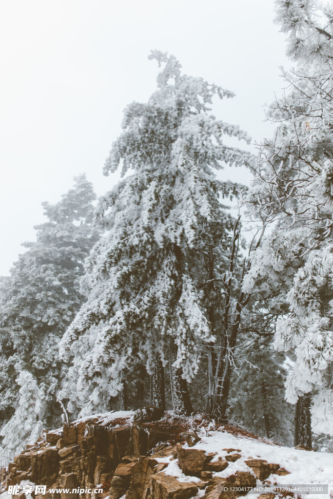 雪地