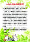 读书小报