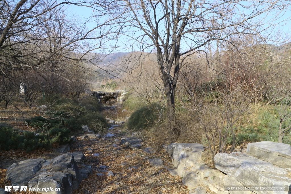 植物园风景